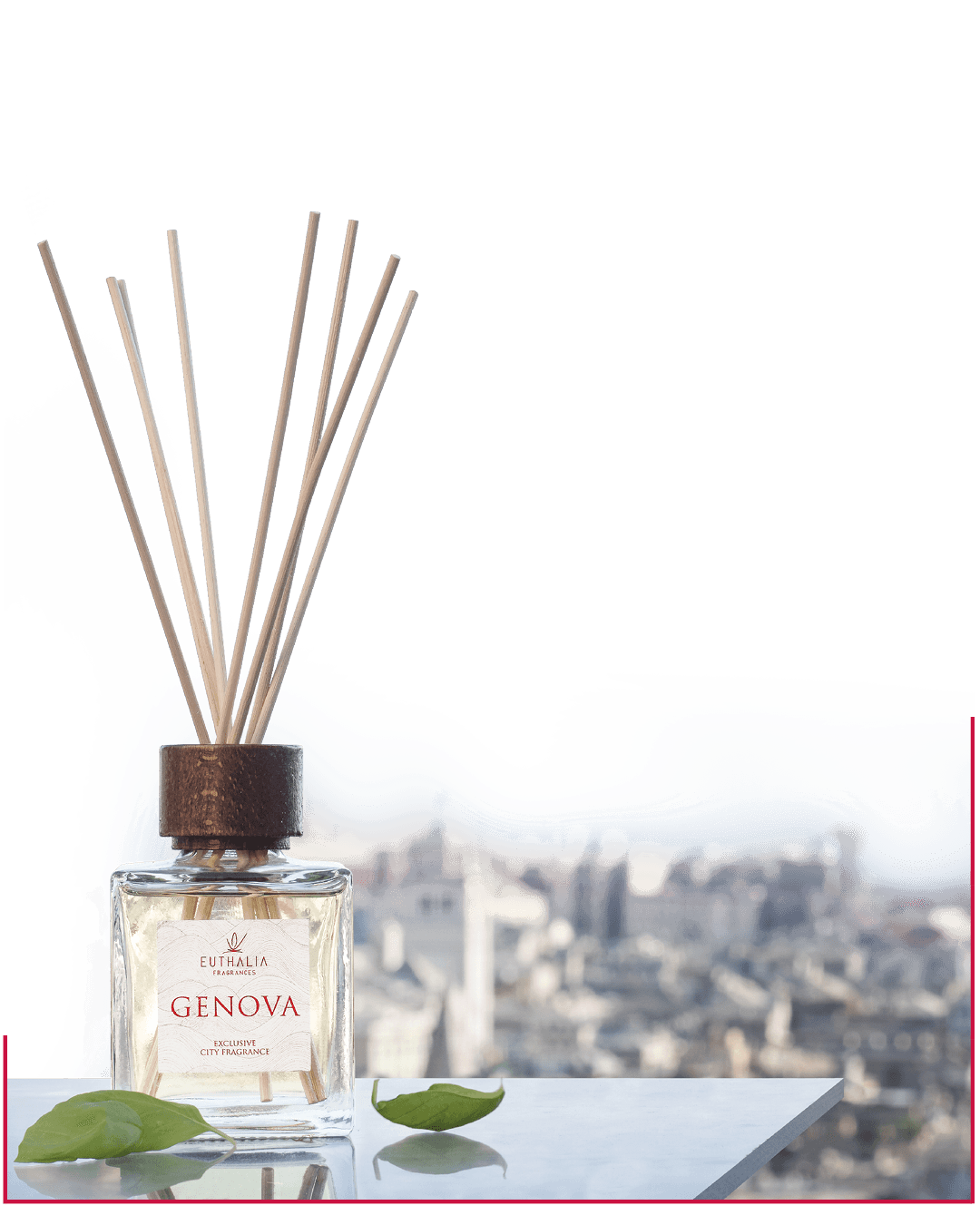 genova-profumata-basilico-castelletto-euthalia-fragrances-2 IL PROFUMO DI GENOVA PROFUMATA .