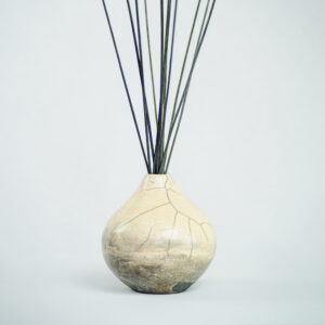 Vaso in ceramica Raku della collezione Euthalia Fragrances, dal design elegante e artigianale. Vaso caratterizzato dalla tradizionale tecnica di lavorazione giapponese Raku, perfetto per arricchire ambienti con raffinatezza. Ideale come diffusore di fragranze o complemento d'arredo. Tokyo.