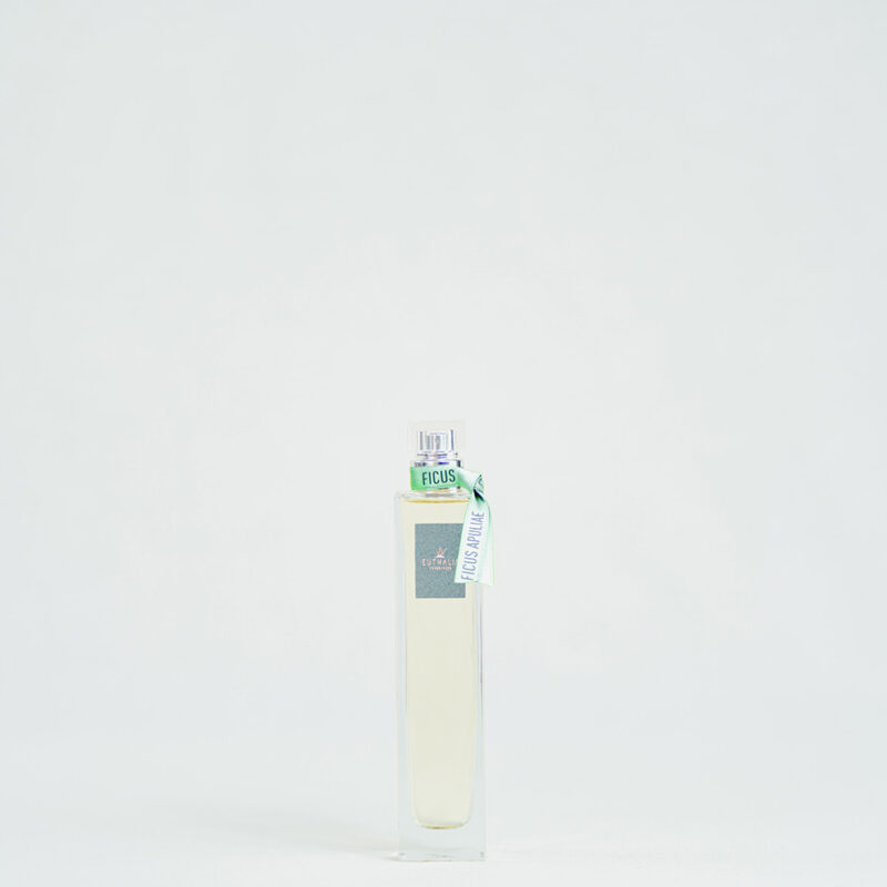ficus_apuliae_spray_ambiente