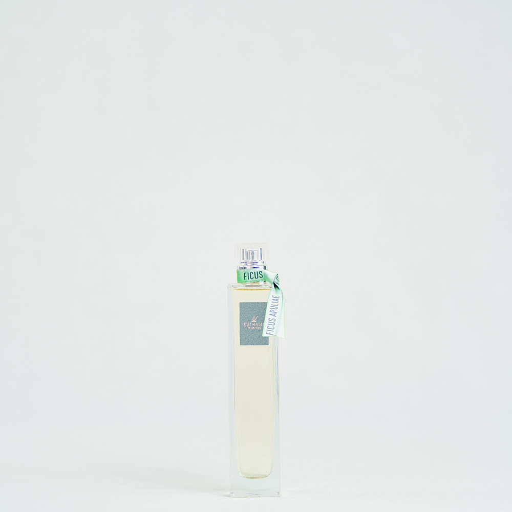 ficus_apuliae_spray_ambiente